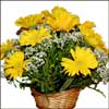 For U Friend - Click here to View more details about this Product